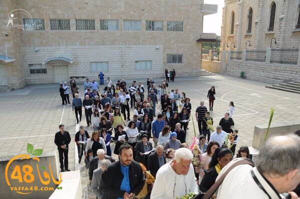 masrira latinyafa (8).JPG